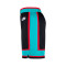 Nike Memphis Grizzlies Swingman Hardwood Classics 2025-2026 Shorts