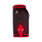 Jordan Chicago Bulls Swingman Statement Edition Shorts