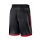 Nike Philadelphia 76Ers DNA Hardwood Classics 2025-2026 Shorts