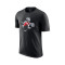 Camiseta Nike Toronto Raptors Essential City Edition