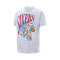 Nike Philadelphia 76Ers Hardwood Classics Champions T-Shirt