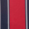 Jersey Puma Baskonia Primera Equipación 2025-2026