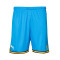 Puma Studenten 2025-2026 Startseite Shorts