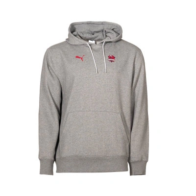 Sudadera Baskonia Fanwear 2025-2026
