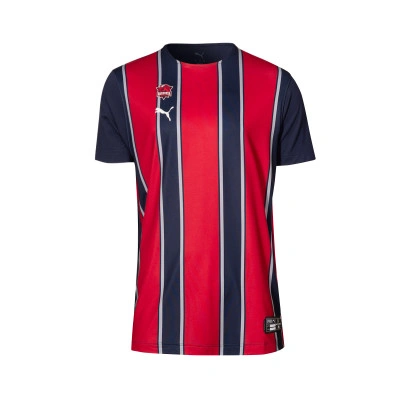 Playera Baskonia Training 2025-2026