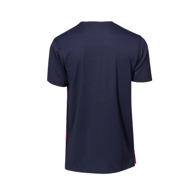 Camiseta Baskonia Training 2025-2026