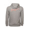 Sudadera Puma Baskonia Fanwear 2025-2026 Niño