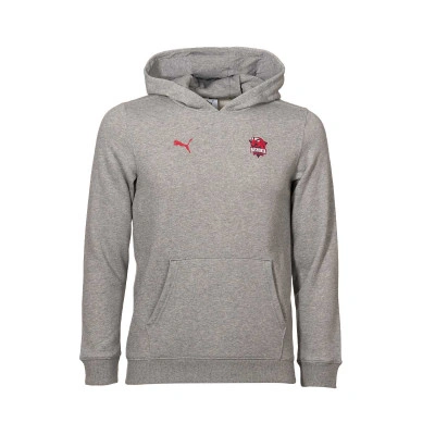 Sudadera Baskonia Fanwear 2025-2026 Niño