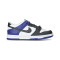 Nike Dunk Low Niño Trainers