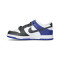 Nike Dunk Low Niño Trainers