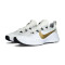 Chaussures Nike Lebron TR 1