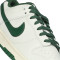 Zapatilla Nike Dunk Low Retro