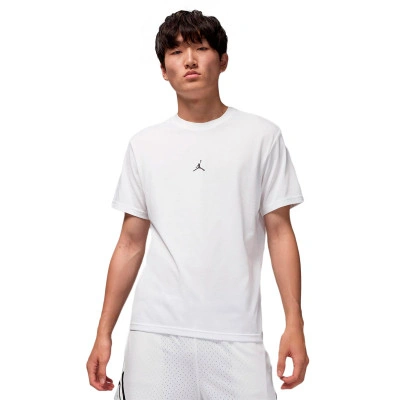 Dri-Fit Sport Jumpman Crew T-Shirt