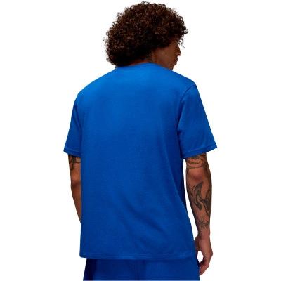 Camiseta Dri-Fit Sport Jumpman Crew