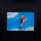 Jordan Flight Mountnside Gfx Crew T-Shirt