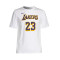 Camiseta Nike Los Angeles Lakers Association Edition Lebron James Niño