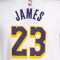 Camiseta Nike Los Angeles Lakers Association Edition Lebron James Niño