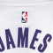 Camiseta Nike Los Angeles Lakers Association Edition Lebron James Niño