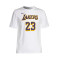 Playera Nike Los Angeles Lakers Essential Association Edition Lebron James Niño