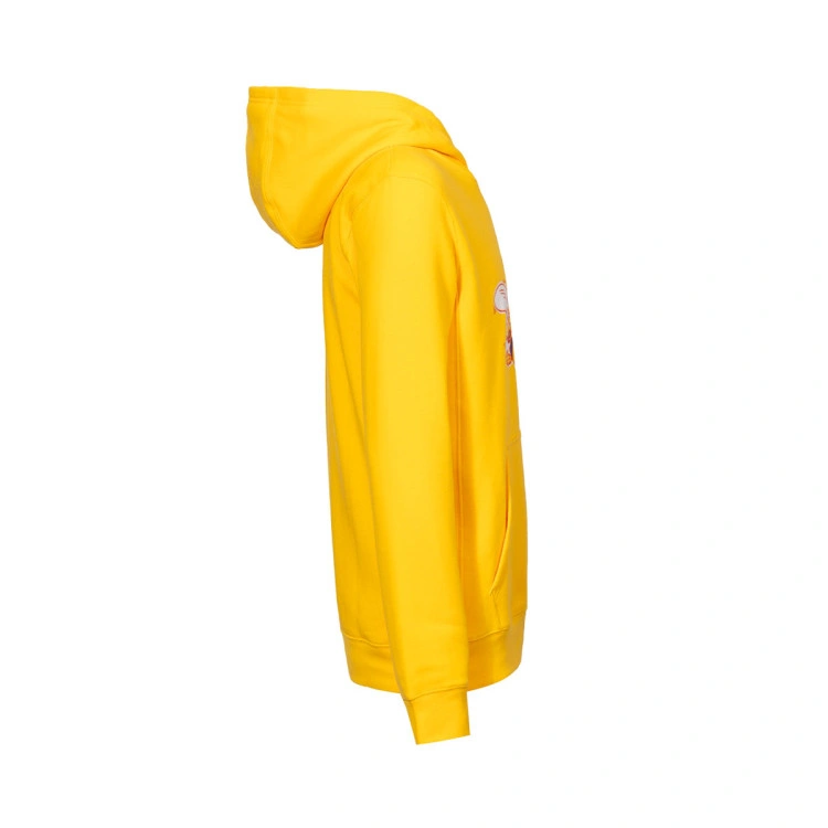 sudadera-jordan-charlotte-hornets-club-logo-city-edition-nino-amarillo-2