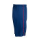 Nike Kids FC Barcelona 2025-2026 Home Shorts