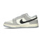 Nike Dunk Low Sneaker