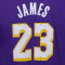 Playera Jordan Los Angeles Lakers Essential Statement Edition Lebron James Niño