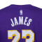Playera Jordan Los Angeles Lakers Essential Statement Edition Lebron James Niño