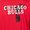Sudadera Nike Chicago Bulls Club Premium Courtside Niño