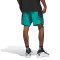 adidas Anthony Edwards Crazy Lite Shorts