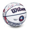 Wilson NBA All Star 2026 Money Size 7 Ball