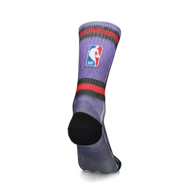 Toronto Raptors Grade Socks