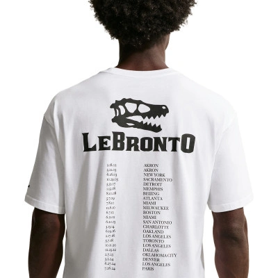 Camiseta Lebron James Lebronto