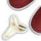 Nike Air Force 1 Low Kobe Bryant HS State Champs Trainers