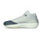 Zapatillas Jordan Air Jordan 40 Wolf Grey