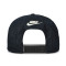 Jordan Essentials Pro Essential Structured Flat Cap