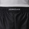 Jordan Brooklyn Cat Scratch Shorts