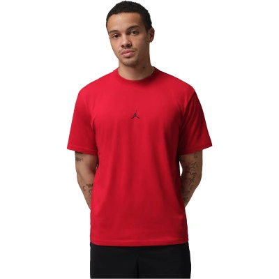 Sport Jumpman Crew T-Shirt