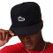 Jordan Pro Air Jordan 4 Sneaker Patcch Cap