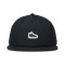 Jordan Pro Air Jordan 4 Sneaker Patcch Cap