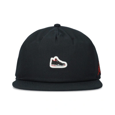 Pro Air Jordan 4 Sneaker Patcch Cap