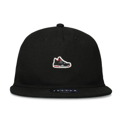 Gorra Air Jordan 4 Sneaker Patch Pro Niño