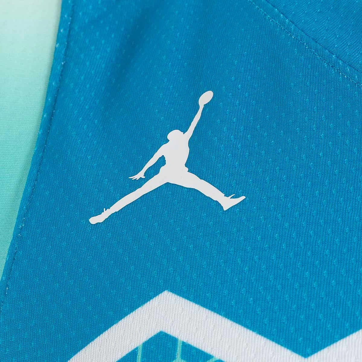 camiseta-jordan-seleccion-de-eslovenia-limited-nino-neptune-blue-2