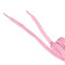 Agujetas Unbranded Planos 160 cm