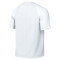 Playera Nike Park VIII