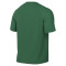 Camiseta Nike Park VIII