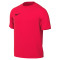 Camiseta Nike Park VIII