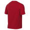 Camiseta Nike Park VIII