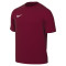 Camiseta Nike Park VIII