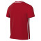 Camiseta Nike Park 26